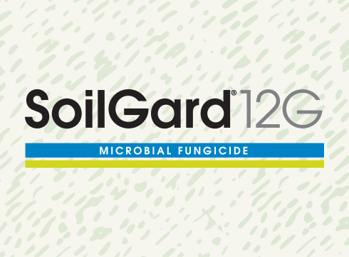 Soilgard 12 G